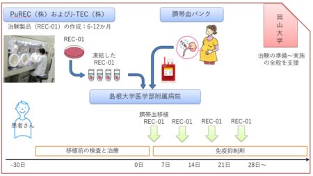 低ホスファターゼ症に対するRECを用いた探索的治験（医師主導治験）開始のお知らせ