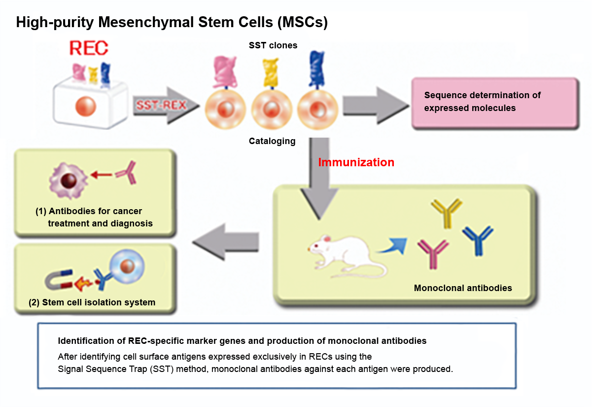 Signal sequence trap method and REC antibodies